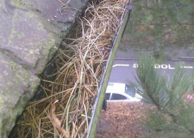 Gutter_before02