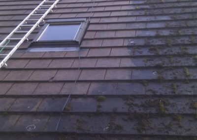 Roof Cleaning